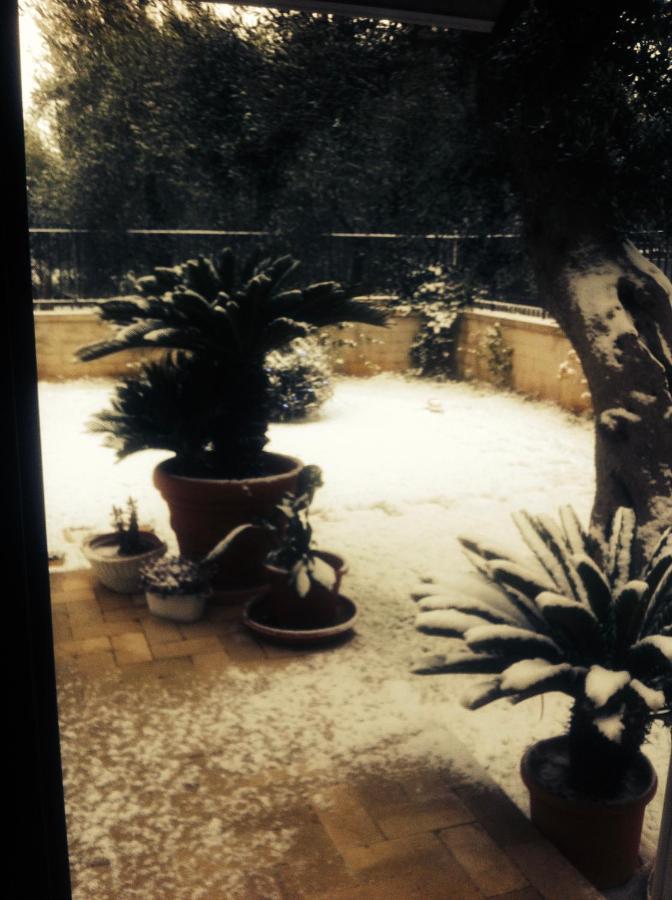 בארי Les Fleurs B&B מראה חיצוני תמונה